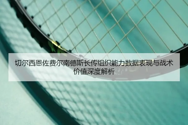 切尔西恩佐费尔南德斯长传组织能力数据表现与战术价值深度解析