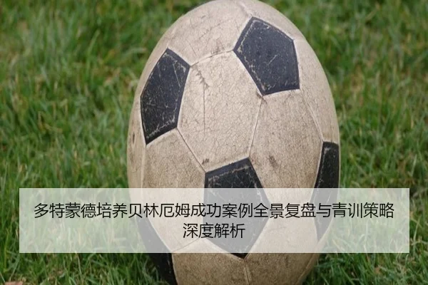 多特蒙德培养贝林厄姆成功案例全景复盘与青训策略深度解析